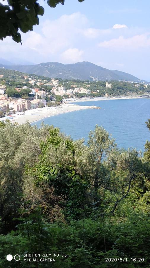 Hotel Tirreno Celle Ligure Exterior photo